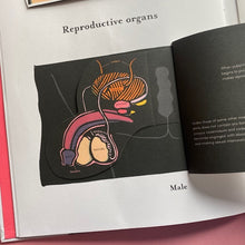 Load image into Gallery viewer, Inside The Body