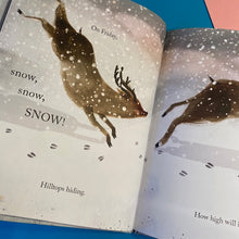 Load image into Gallery viewer, So Much Snow