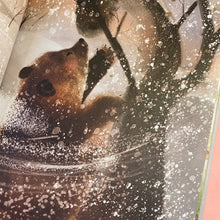 Load image into Gallery viewer, So Much Snow