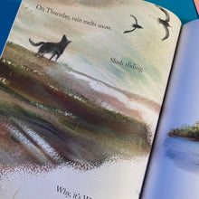 Load image into Gallery viewer, So Much Snow