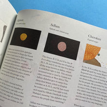 Load image into Gallery viewer, One & Everything