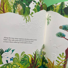 Load image into Gallery viewer, The Forest