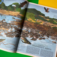 Load image into Gallery viewer, Atlas Of Animal Adventures