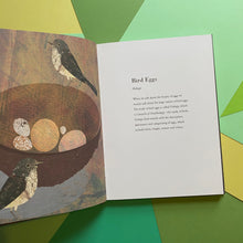 Load image into Gallery viewer, The Egg