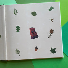 Load image into Gallery viewer, The Mystery Of The Golden Wonderflower