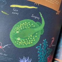 Load image into Gallery viewer, Bright In The Night