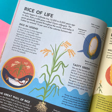 Load image into Gallery viewer, World Of Food