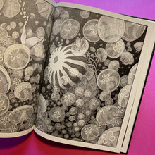 Load image into Gallery viewer, The Wanderer