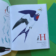 Load image into Gallery viewer, Near The Bear North