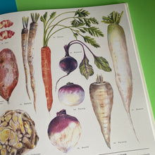 Load image into Gallery viewer, Feast Your Eyes On Food