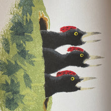 Load image into Gallery viewer, Near The Bear North