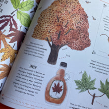 Load image into Gallery viewer, Grow