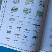 Load image into Gallery viewer, Bandoola