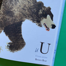 Load image into Gallery viewer, Near The Bear North