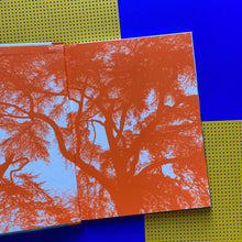 Load image into Gallery viewer, Little Fox