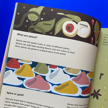 Load image into Gallery viewer, A Taste of The World