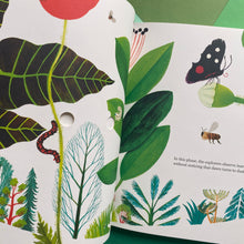 Load image into Gallery viewer, The Forest