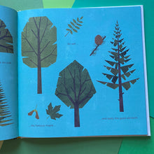 Load image into Gallery viewer, The Mystery Of The Golden Wonderflower