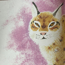 Load image into Gallery viewer, Near The Bear North