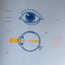 Load image into Gallery viewer, Sight - Glimmer, Glow, Spark, Flash!