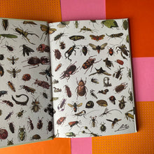 Load image into Gallery viewer, The Bug Club