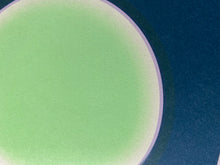 Load image into Gallery viewer, Dans La Lune