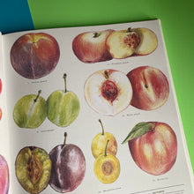 Load image into Gallery viewer, Feast Your Eyes On Food