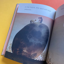 Load image into Gallery viewer, The Rock From The Sky