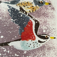 Load image into Gallery viewer, Near The Bear North