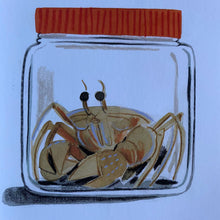 Load image into Gallery viewer, The Octopus Escapes