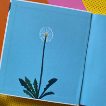 Load image into Gallery viewer, Hundred