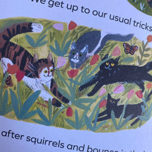 Load image into Gallery viewer, Bob & Bunk