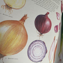 Load image into Gallery viewer, Feast Your Eyes On Food