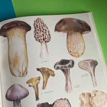 Load image into Gallery viewer, Feast Your Eyes On Food