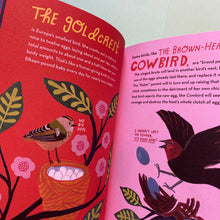 Load image into Gallery viewer, Crazy For Birds