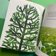 Load image into Gallery viewer, The Forest