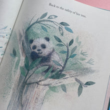 Load image into Gallery viewer, A Song In The Mist