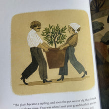 Load image into Gallery viewer, All From A Walnut