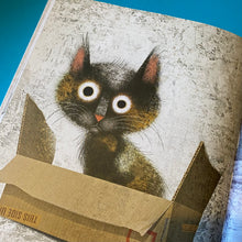 Load image into Gallery viewer, Cat Problems