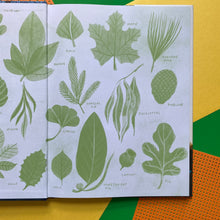 Load image into Gallery viewer, Be A Tree!