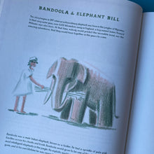 Load image into Gallery viewer, Bandoola