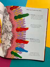 Load image into Gallery viewer, How Colour Works