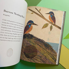 Load image into Gallery viewer, The Egg