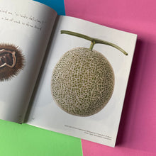 Load image into Gallery viewer, Palate Palette