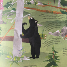 Load image into Gallery viewer, Atlas Of Animal Adventures