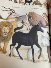 Load image into Gallery viewer, If You Come To Earth