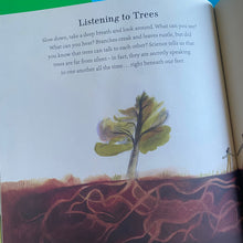 Load image into Gallery viewer, What Do You See When You Look At A Tree