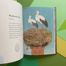 Load image into Gallery viewer, The Egg