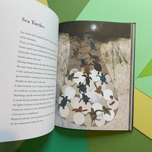 Load image into Gallery viewer, The Egg