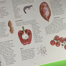 Load image into Gallery viewer, Feast Your Eyes On Food